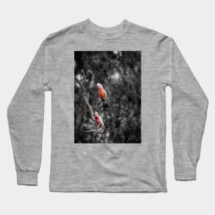 Galah_9001A Long Sleeve T-Shirt